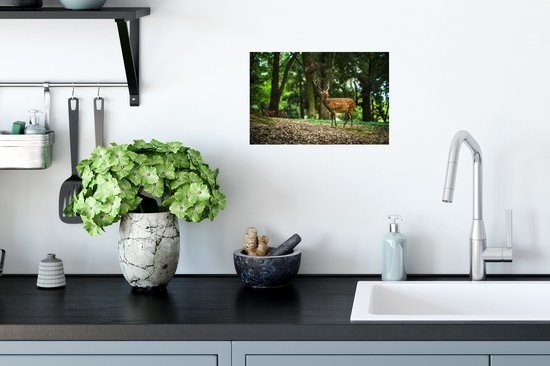 Stickers muraux - Film autocollant - Cerf - Forêt - Animal - 30x20 cm - Film adhésif - Stickers muraux Chambre d'enfant - Papier peint autocollant