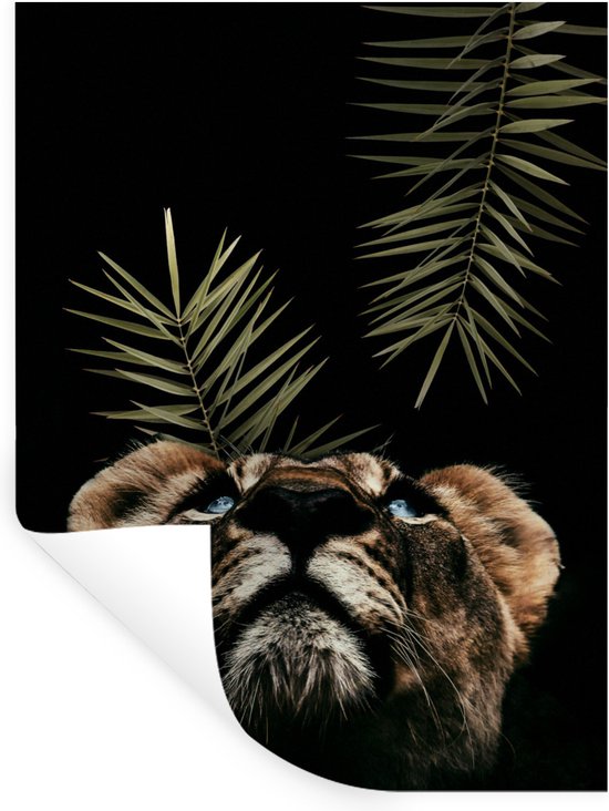 Sticker Muursticker Tigre - Le tigre lève les yeux et se dresse sur un fond noir - 90x120 cm - feuille autocollante - sticker mural repositionnable