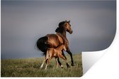 Sticker Muursticker Cheval avec poulain - cheval avec poulain au galop - 120x80 cm - film adhésif autocollant - sticker mural repositionnable