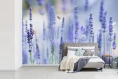 Behang - Fotobehang Bijen in een veld met lavendel - Breedte 330 cm x hoogte 220 cm