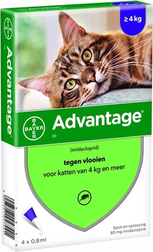 Foto: Bayer advantage kat 4 pipetten 80 vanaf 4 kg 4 pip 1 stuks