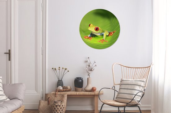 Grenouille ara aux yeux rouges sur une feuille au Costa Rica Sticker mural cercle mural 50x50 cm / cercle papier peint / cercle mural / cercle vivant - autocollant & coupe ronde