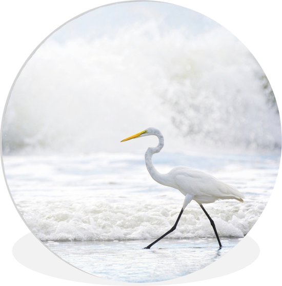 WallCircle - Wandcirkel ⌀ 30 - Reiger in het water in South Carolina - Ronde schilderijen woonkamer - Wandbord rond - Muurdecoratie cirkel - Kamer decoratie binnen - Wanddecoratie muurcirkel - Woonaccessoires