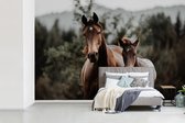 Behang - Fotobehang Paard - Veulen - Natuur - Breedte 390 cm x hoogte 260 cm