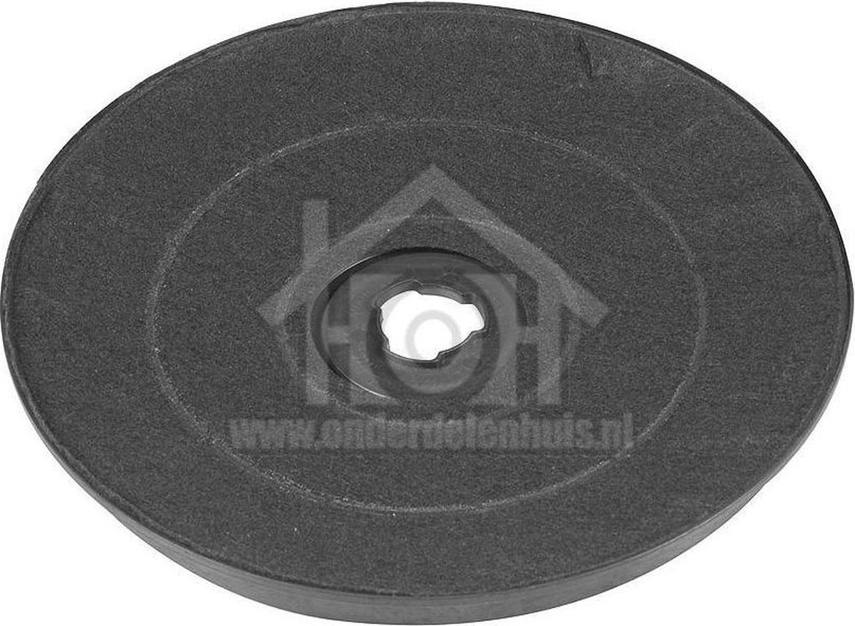 WPRO Filter koolstof -23cm- HI 160, HI161 484000008636