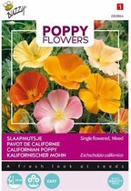 Buzzy Poppy Flowers - bloemzaad - Slaapmutsje