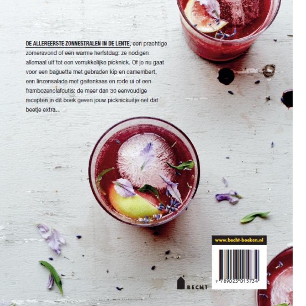 Picknick - back cover
