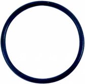 OMC O-RING 400-800 (314491)