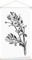 Gevlekte Scheerling zwart-wit (Hemlock Stocks Bill) - Foto op Textielposter - 40 x 60 cm