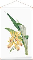 Orchidee Aquarel 2 (Orchid) - Foto op Textielposter - 40 x 60 cm