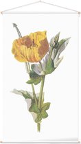Gele Hoornpapaver (Yellow Horned Poppy) - Foto op Textielposter - 60 x 90 cm