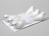 Bijstekers - W/b. 6 Birds/wire White 15 Cm