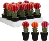 Kunstbloemen En Overige - Cactus In Plastic Pot Rood Oranje D. Roze - H20xd8cm