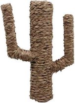 Zeegras Manden - Pc. 1 Cattail Cactus Natural 30x30cm