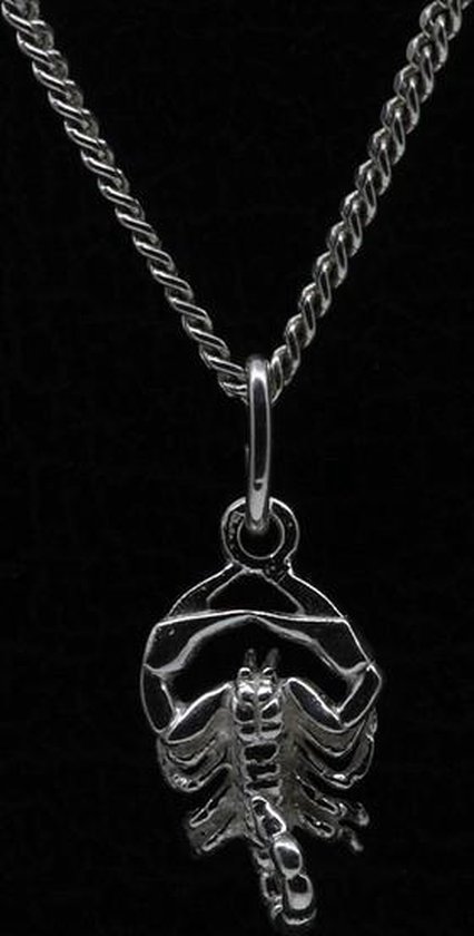 Zilveren Sterrenbeeld Schorpioen ketting hanger