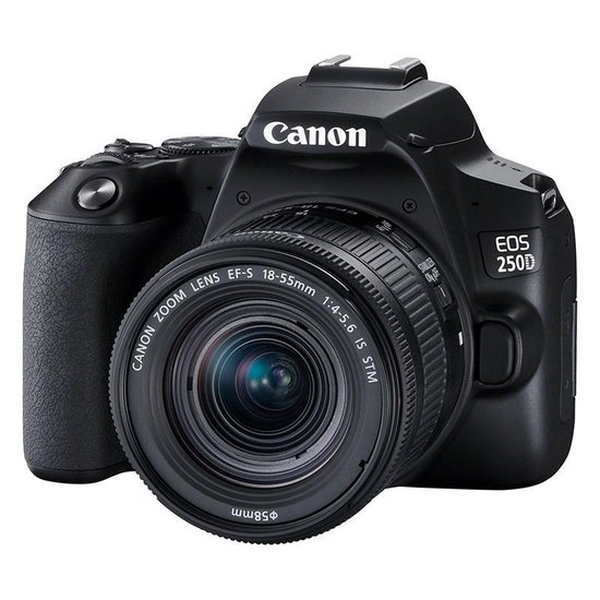 benzine Geleerde poort Canon EOS 250D + EF-S 18-55mm IS STM - Zwart | bol.com