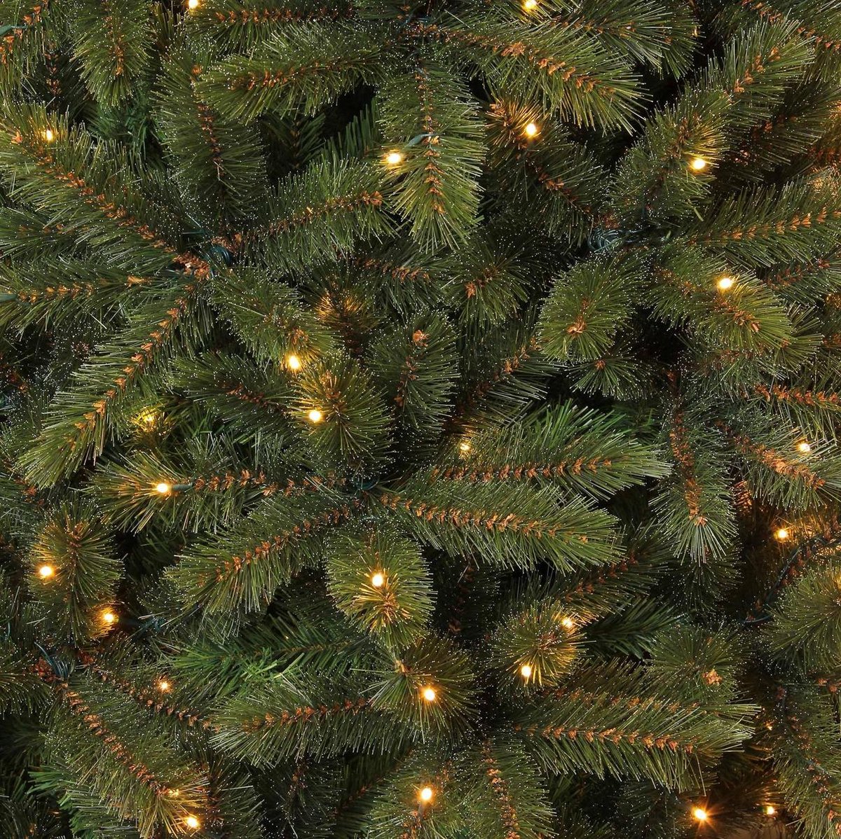 lever vee Wiskunde Triumph Tree Forest Frosted Pine Kunstkerstboom - 185 cm hoog - Met  energiezuinige LED... | bol.com