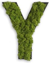 Stylegreen Alfabet letters A t/m Z - Reindeer moss - 25cm