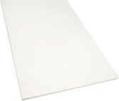 Melamine Plank, l: 79,8 cm, diepte 40 cm, , 1stuk