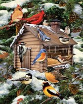 Diamond Painting Winter met vogels 30x40cm. (Volledige bedekking - Ronde steentjes) diamondpainting inclusief tools