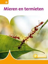 Informatie 107 - Mieren en termieten