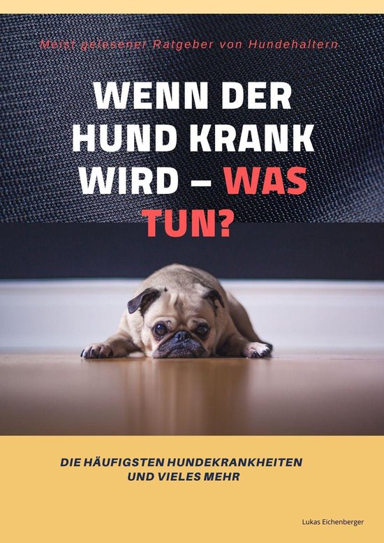 Wenn der Hund krank wird - was tun? - cover