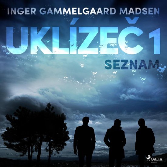 Uklízeč 1: Seznam - cover