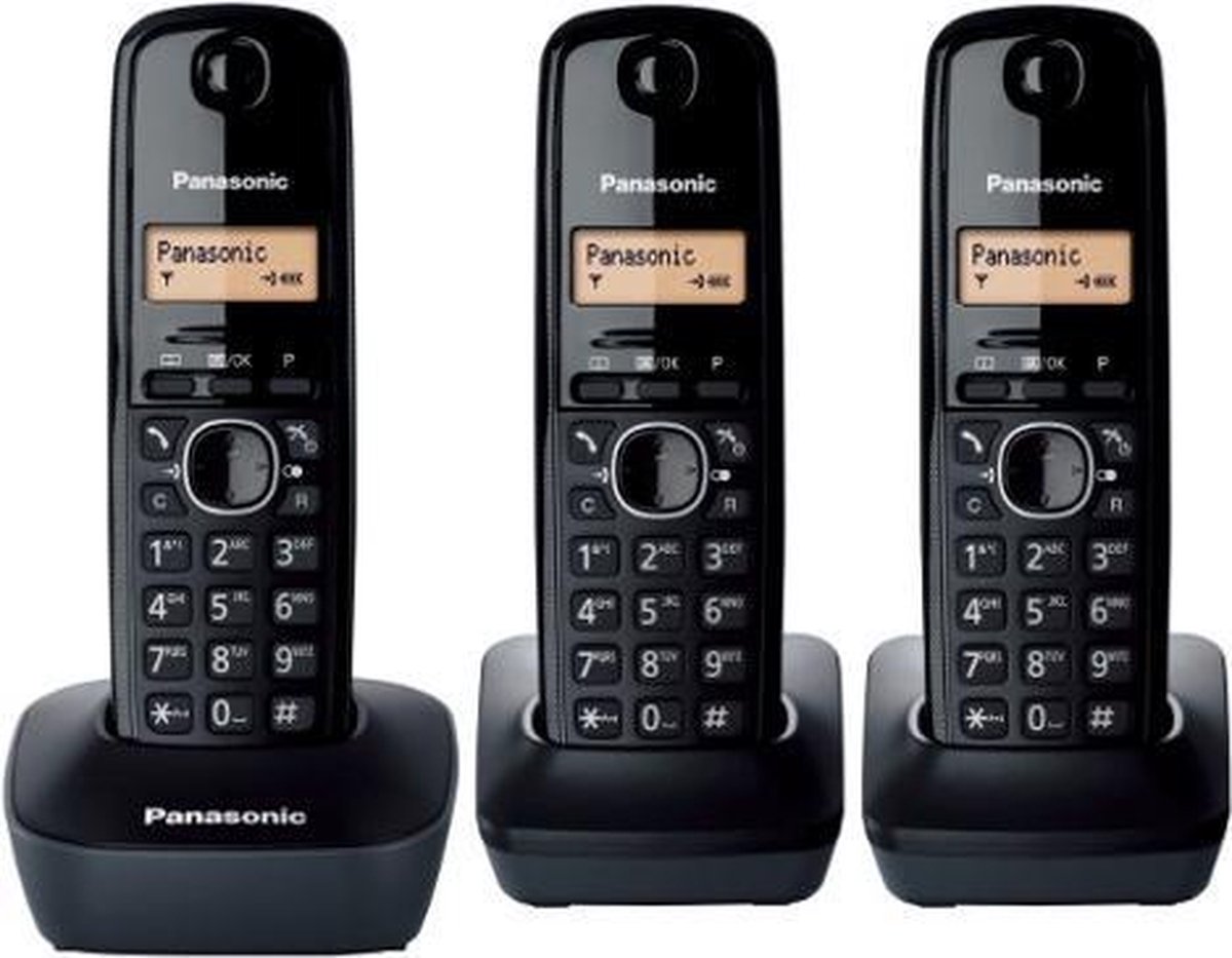 Panasonic KX-TG1613 DECT-telefoon Nummerherkenning Zwart