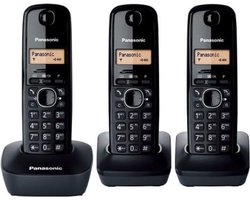 Panasonic KX-TG1613 DECT-telefoon Nummerherkenning Zwart