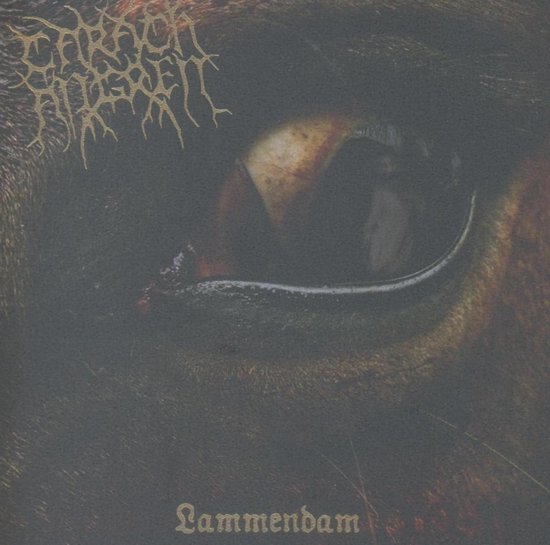 Lammendam (Reissue)