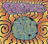 Ozric Tentacles - At The..