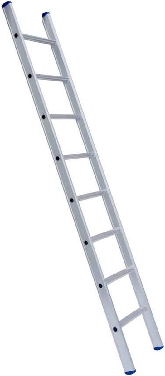 Eurostairs Ladder enkel recht 1x6 sporten | bol.com