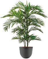 HTT - Kunstplant Areca palm in Eggy antraciet H130 cm