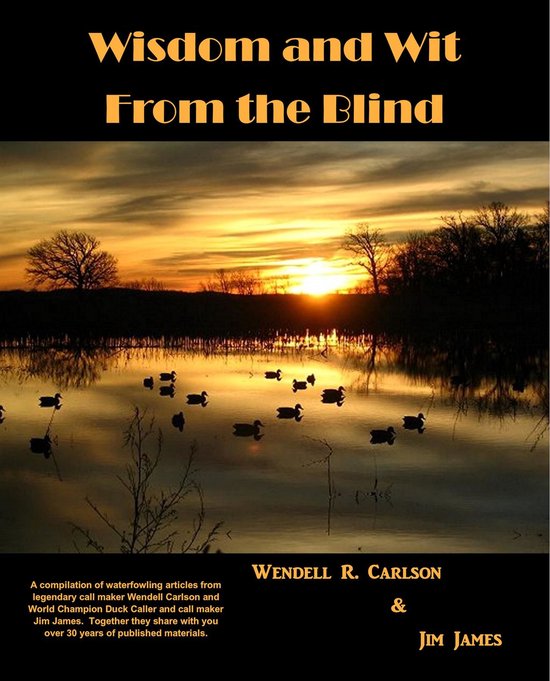 Wisdom and Wit From the Blind - cover