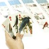 Afbeelding van het spelletje 3D Speelkaarten - Vogels - Kikkerland