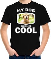 Golden retriever honden t-shirt my dog is serious cool zwart - kinderen - Golden retrievers liefhebber cadeau shirt L (146-152)