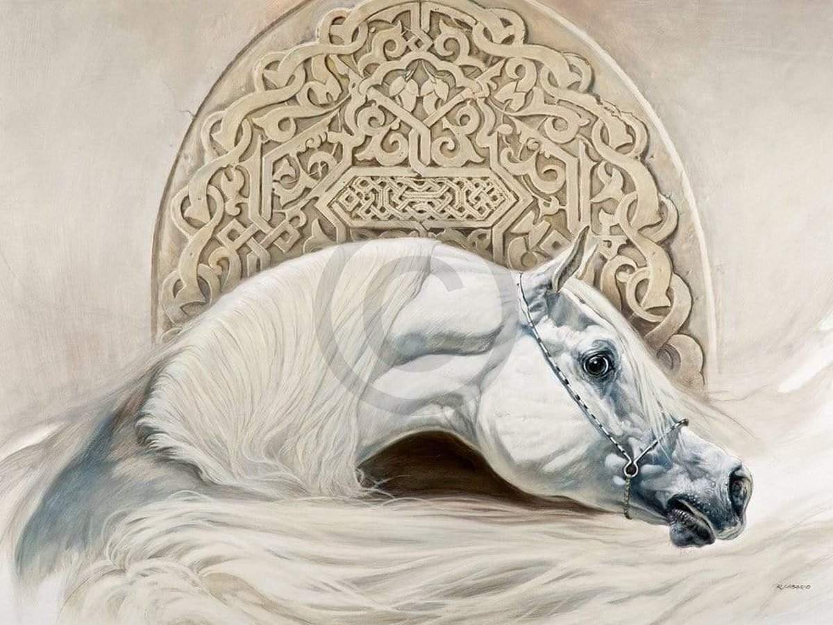PGM Kunstdruk Renato Casaro - Arabian Pride 80x60cm Divers