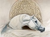 Renato Casaro - Arabian Pride Kunstdruk 80x60cm