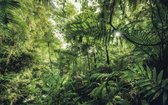 Fotobehang - Into The Jungle 400x250cm - Vliesbehang