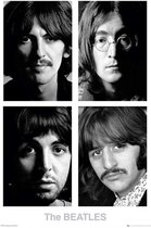 The Beatles Poster - Album - 91.5 X 61 Cm - Multicolor