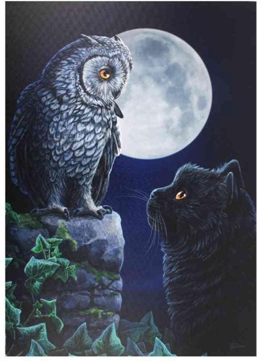 Canvas - Purrfect Wisdom - Lisa Parker - 50 x 70 cm Multicolours