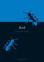 Animal - Ant
