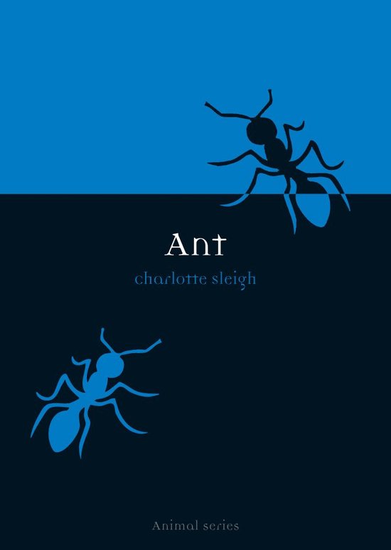 Animal 1 - Ant - cover