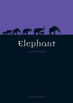 Animal - Elephant
