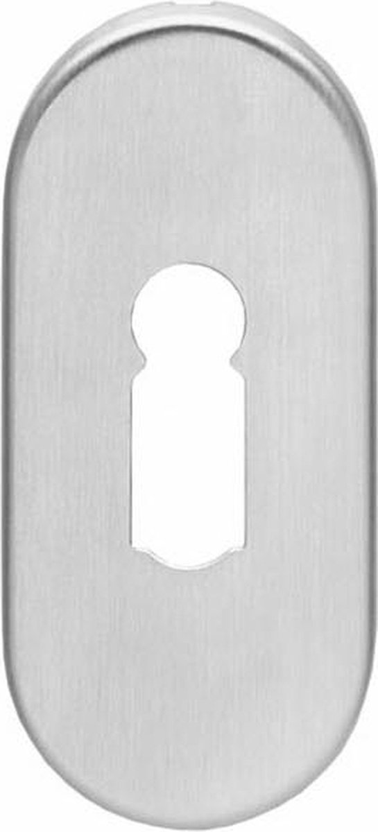 Intersteel Rozet sleutelgat ovaal verdekt rvs geborsteld 4 mm