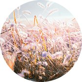 Label2X - Schilderij - Winter Morning Flower Ø Aanbevolen - Multicolor - 30 X 30 Cm