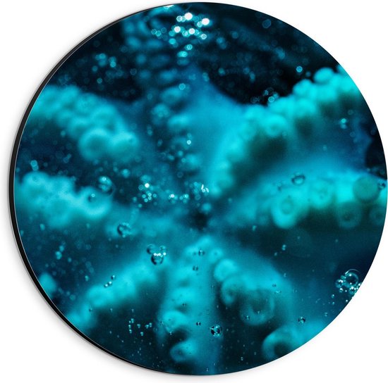 Dibond Wandcirkel - Blauwe Octopus - 20x20cm Foto op Aluminium Wandcirkel (met ophangsysteem)