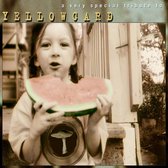 Various Artists - Very Special Trib To Yellowcard (CD)