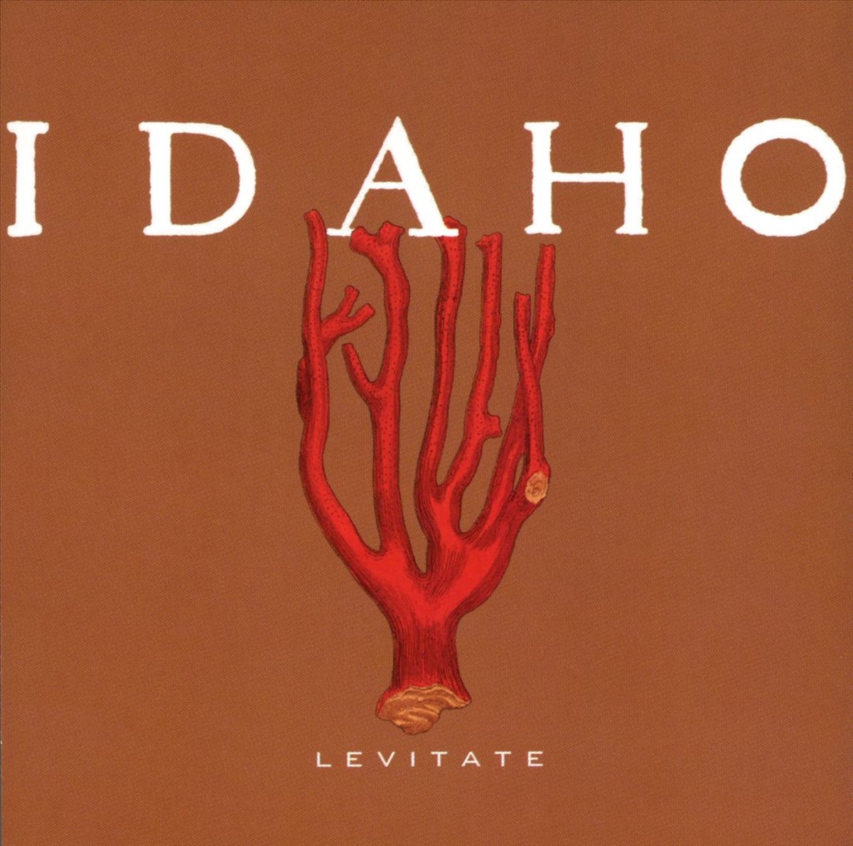 Levitate
