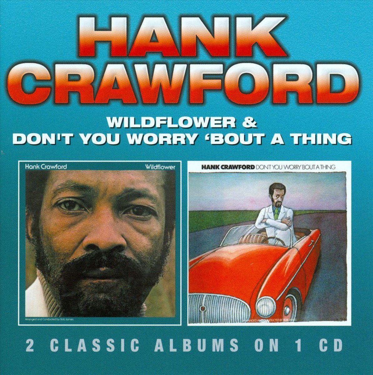 Wildflower/Don't You Worry 'Bout a Thing